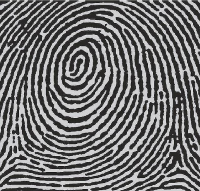 Vezi cât de inteligentă ești și cât de împăciuitoare, citindu-ți vârful degetelor! 