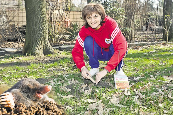 4410-255882-3031lipacartita_f7032bb2d9