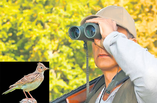 Braconierii umblă cu gardul vopsit cu... capcane! EXCLUSIV