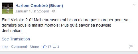 bizon