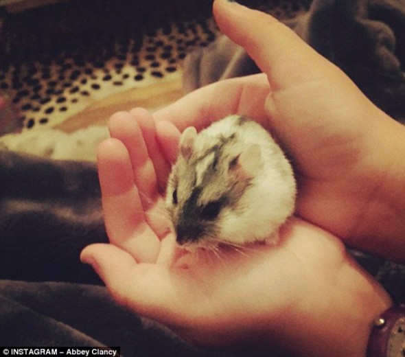 Uriaşul Crouch, terorizat de un animal minuscul. O mare sportivă de la noi, înnebunită de o cârtiță