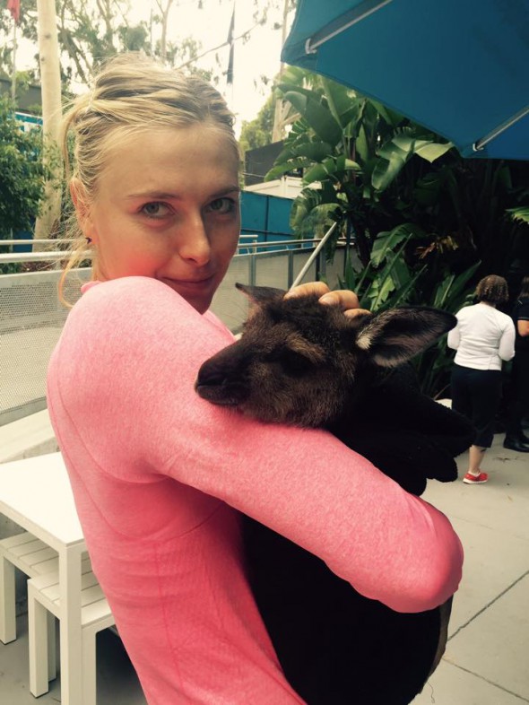 sharapova