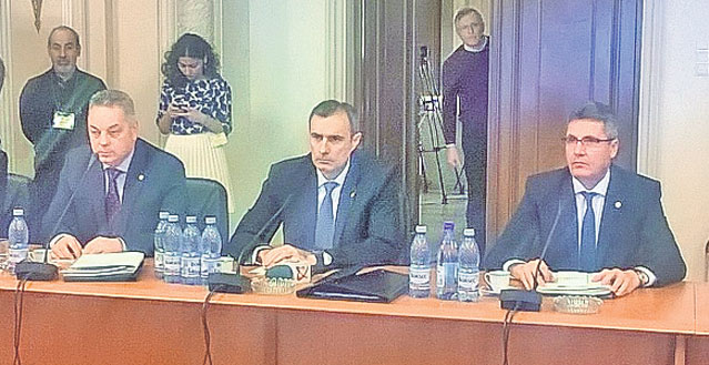 Elena Udrea și-a rugat colegii 17 minute să nu o trimită după gratii