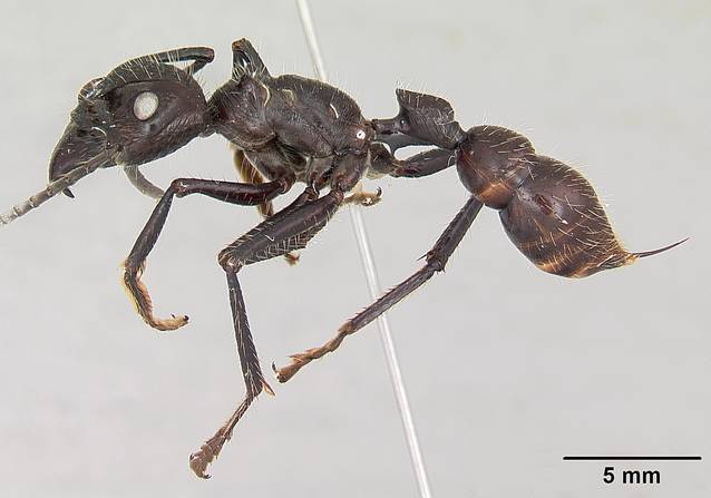 SUNT CELEBRU, SCOATE-MĂ DE AICI! ACESTEA SUNT CELE MAI DUREROASE MUȘCĂTURI DE CARE VEDETELE AR PUTEA SĂ AIBĂ PARTE!