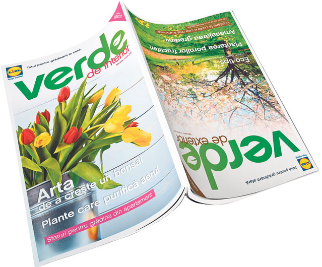 Grădina de acasă | Sfaturi utile pentru îngrijirea plantelor