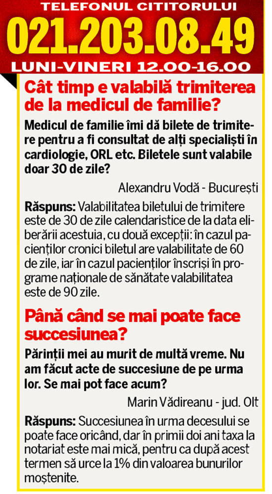LIBERTATEA TE AJUTĂ: Din ce cauză «mucegăiesc» orhideele?