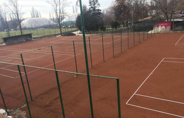 Tenis
