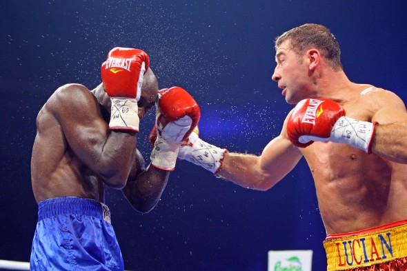 BOX - CAMPION PENTRU ROMANIA