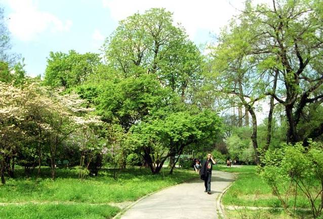 Cele mai frumoase locuri din România în care ai putea să te căsătorești