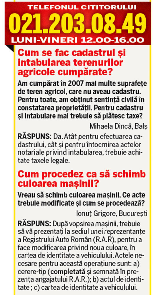 LIBERTATEA TE AJUTĂ: Cum verifici dacă peștele e proaspăt?