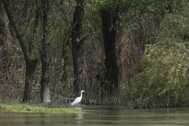 Cele mai frumoase locuri din România în care ai putea să te căsătorești