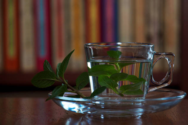 12 leacuri tradiționale pentru mahmureală din diverse colțuri ale lumii