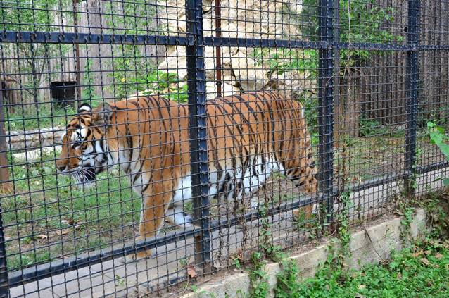 Cele mai frumoase locuri din România în care ai putea să te căsătorești