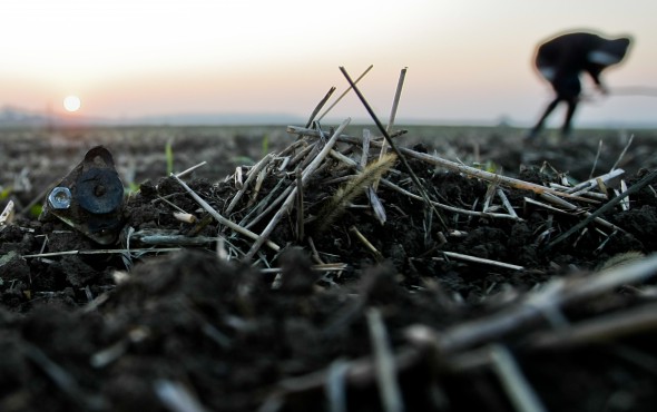 Câmpul de la Balotești