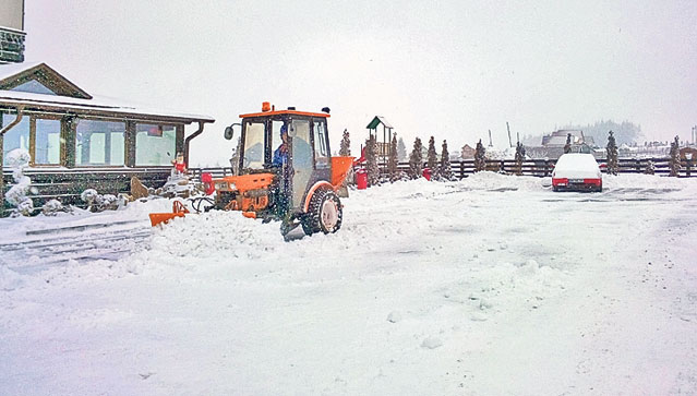 Vin Floriile cu târguri! Încă de astăzi, încep petrecerile în toată țara
