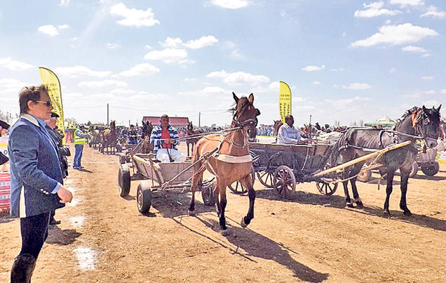 Fiecare a petrecut în felul său!