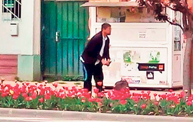 Sfârâie micu’-ntre lalele