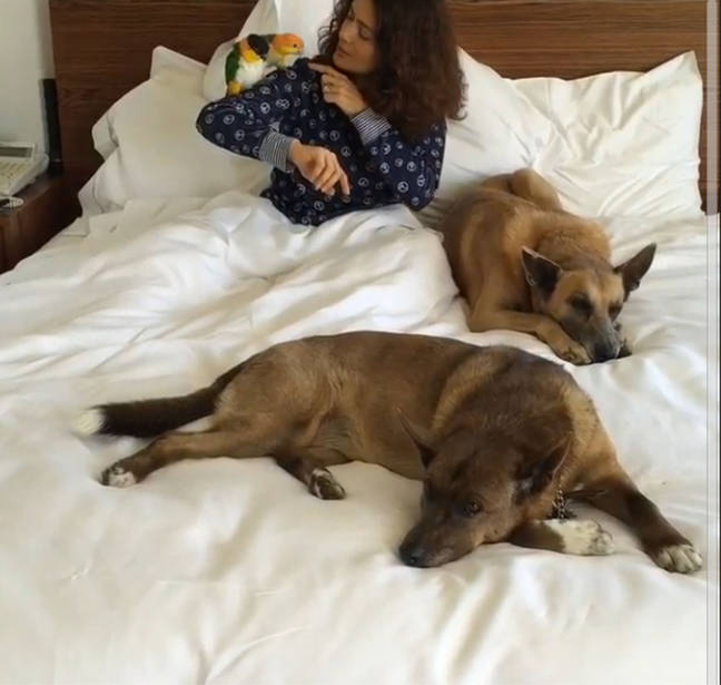 Salma Hayek, într-o ipostază cum n-a mai fost văzută! FOTO in articol!