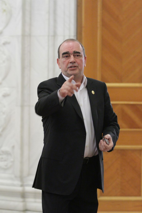 Gigi Netoiu ND_1