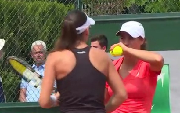 niculescu01