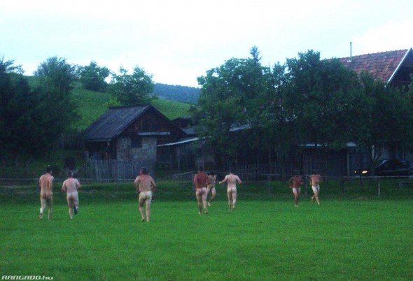 123062_karancsbereny