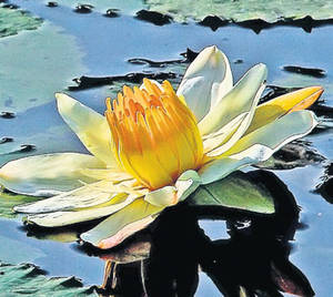 27 septembrie este Ziua mondială a turismului. Minunăţiile din România care nu au pereche în lume