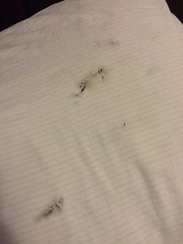 19 lucruri pe care le vei înțelege doar dacă ești dependentă de machiaj