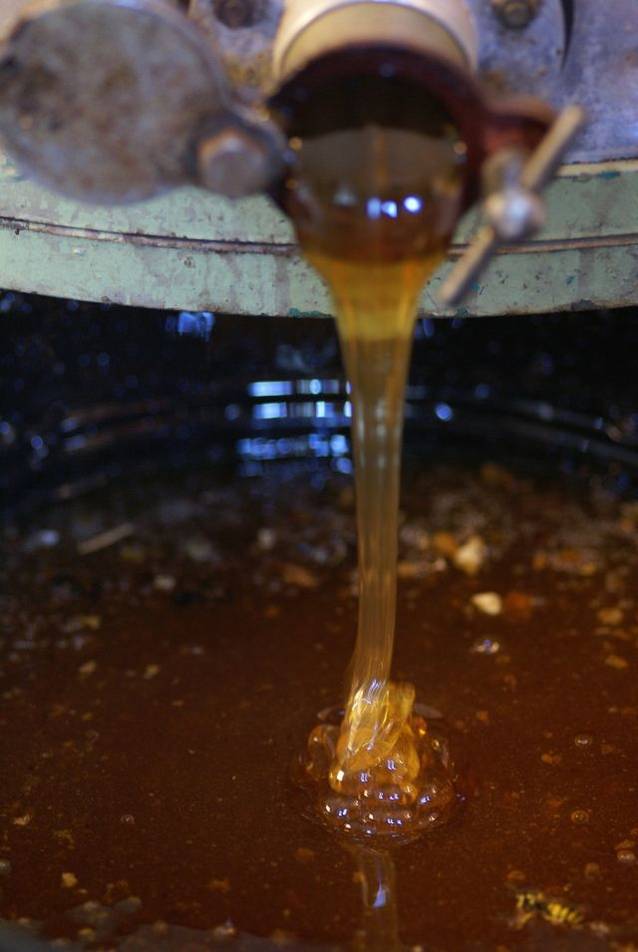 9 curiozități despre lumea în care trăim care chiar ne fac să credem în minuni