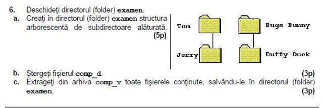 BACALAUREAT 2015. Azi a început proba de competenţe digitale. Cum se rezolvă subiectele