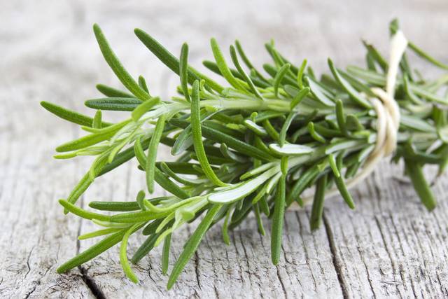 5 plante bune pentru ficat