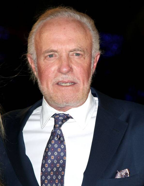 Toată lumea a văzut "The Godfather"! Cum arată astăzi interpretul lui Sonny Corleone, fiul lui Don Vito!