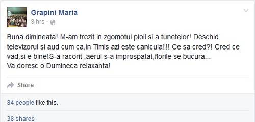 MARIA GRAPINI o comite din nou! Ce a scris eurodeputata pe Facebook