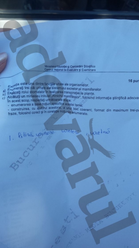 BACALAUREAT 2015 SESIUNEA DE TOAMNĂ. Ce subiecte s-au dat la PROBA OBLIGATORIE  