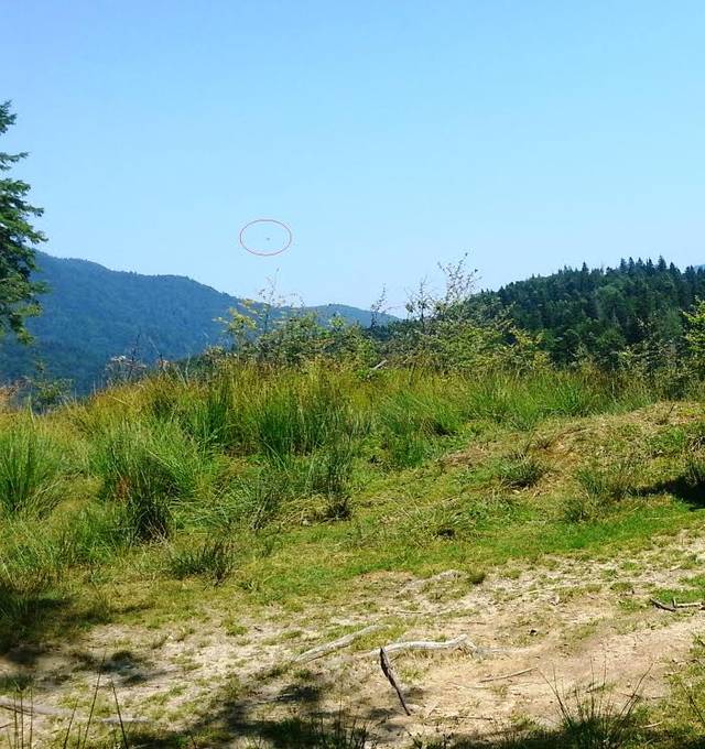 UPDATE | Planorul dispărut în munți A FOST GĂSIT! Detalii incredibile au ieșit la iveală