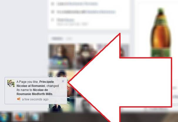 Gestul făcut PE FACEBOOK de Principele Nicolae, singurul nepot al Regelui Mihai, după ce i-a fost retras titlul