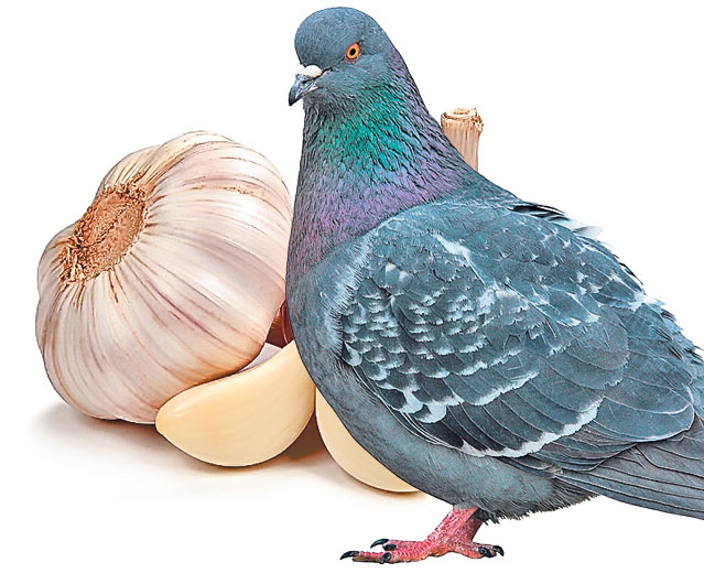 Medicina, film horror în urmă cu 150 de ani