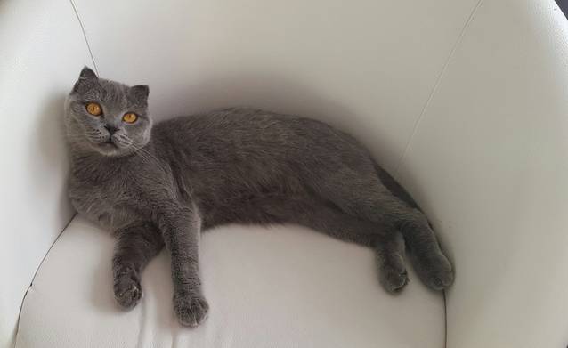 CE A AUZIT Andreea Marin, înainte de a ieși pe ușă, de dimineață! Și-a înduioșat toți fanii