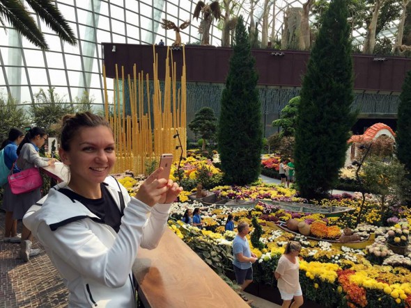 Halep Singapore