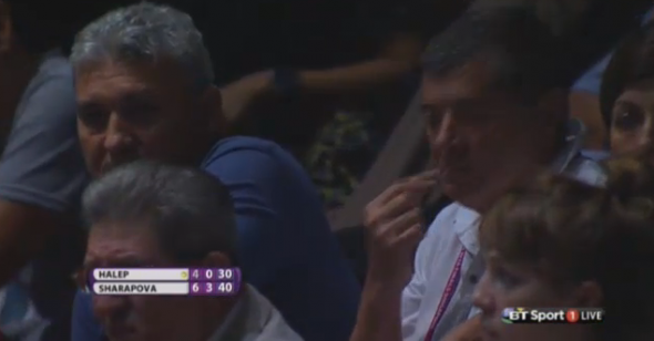 Halep lojă