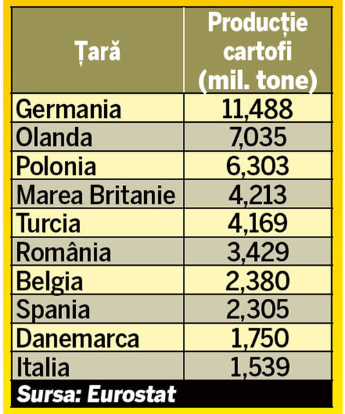 Cartofi mai mici și mai scumpi! «Mâncarea săracului» va costa dublu față de anul trecut