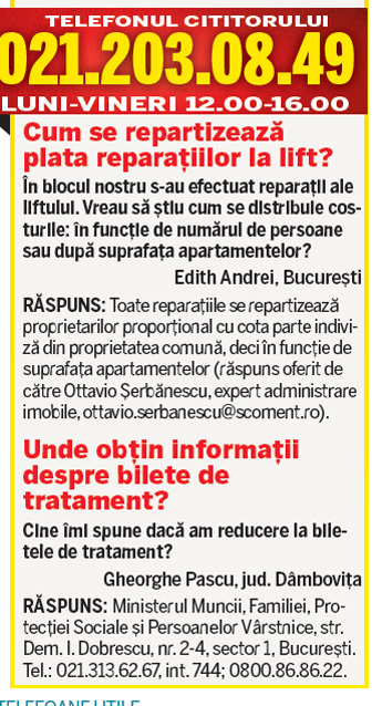 LIBERTATEA TE AJUTĂ: Cui îi mai pasă de câinii străzii?