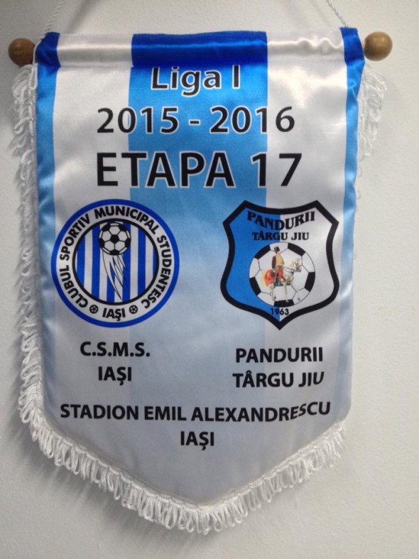 Fanion Iasi - Pandurii
