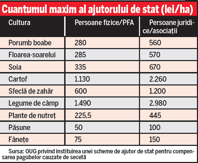Ai teren agricol și ai fost afectat de secetă? Află ce trebuie să faci pentru a primi despăgubiri
