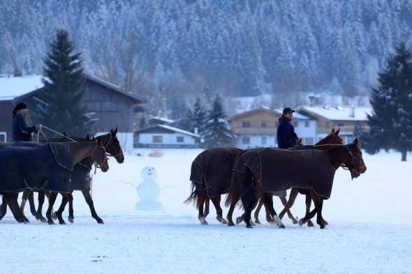 6 2016-Kitzbuehel-Snow-Polo-Jan-14-6