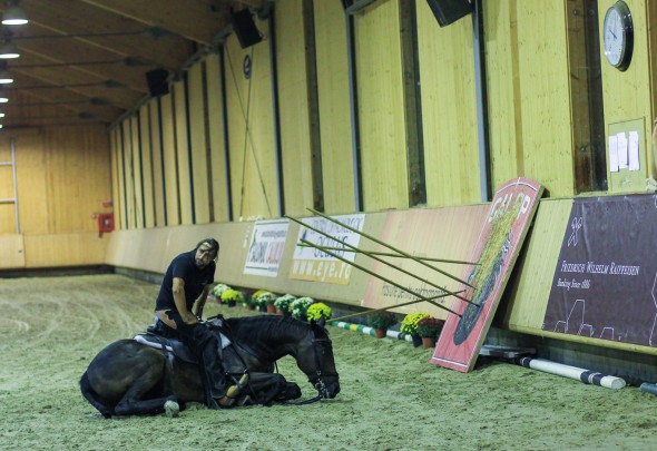 Clubul Equestria găzduiește demonstrații de dresaj natural, susținute de actorul Denis Ștefan_ Photo credit Cristina Ciunga (2)