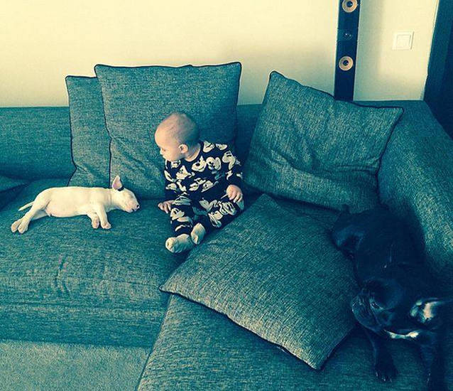 Alex Velea l-a fericit pe Dominic! I-a luat un cățel adorabil