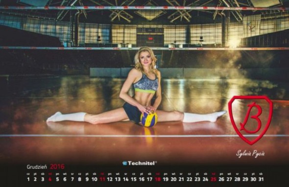 z19345716Q,Sylwia-Pycia--Budowlani